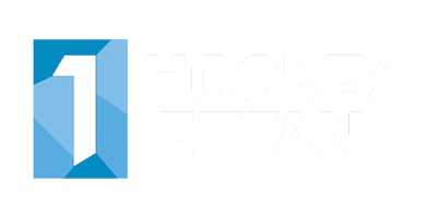 logo_leagues_hockeyettan_white