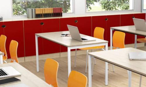 Skillnader mellan NIU eller LIU hockeygymnasium